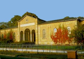 friedhof.jpg (22133 Byte)